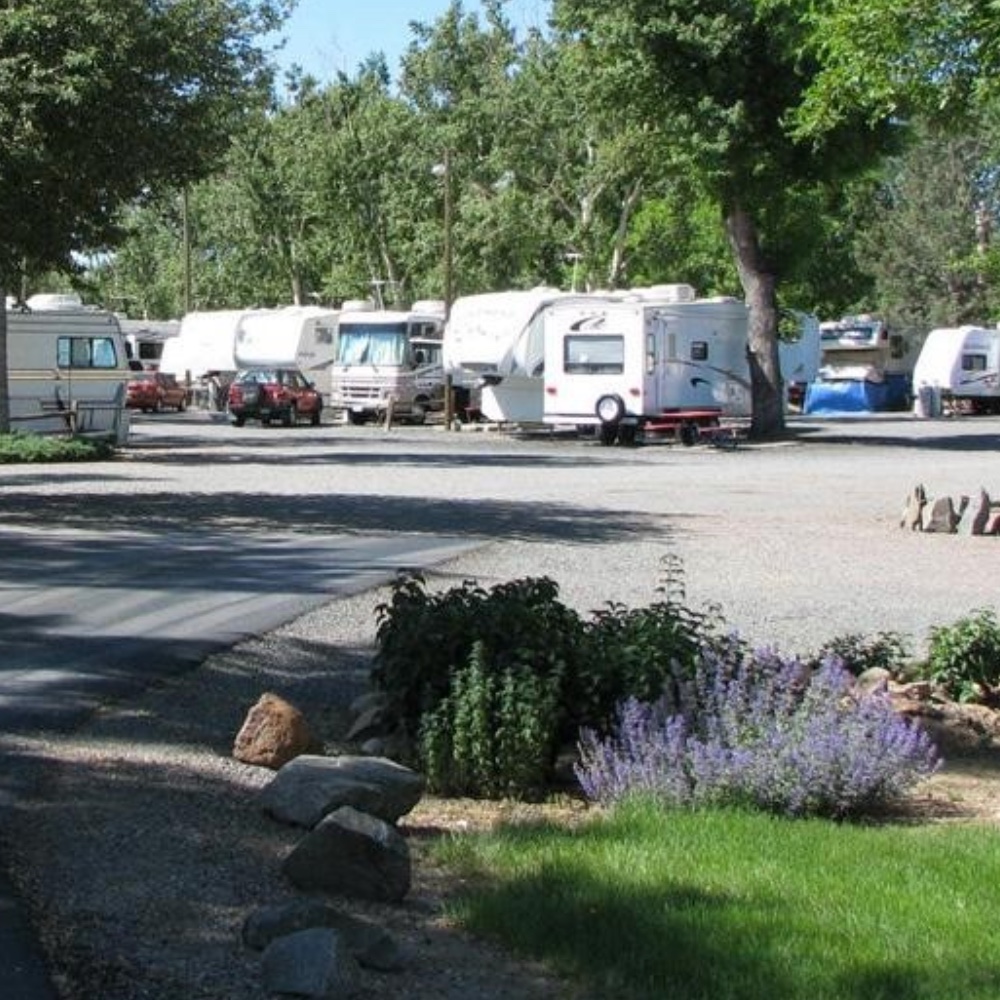 The Prospect RV Park Pickleball Insider